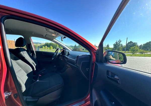 Kia Picanto cena 42900 przebieg: 35100, rok produkcji 2019 z Kraków małe 529